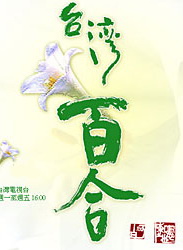 唐美云