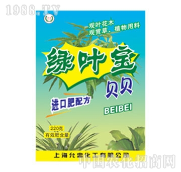 亚泰绿叶宝 亚泰绿叶宝
