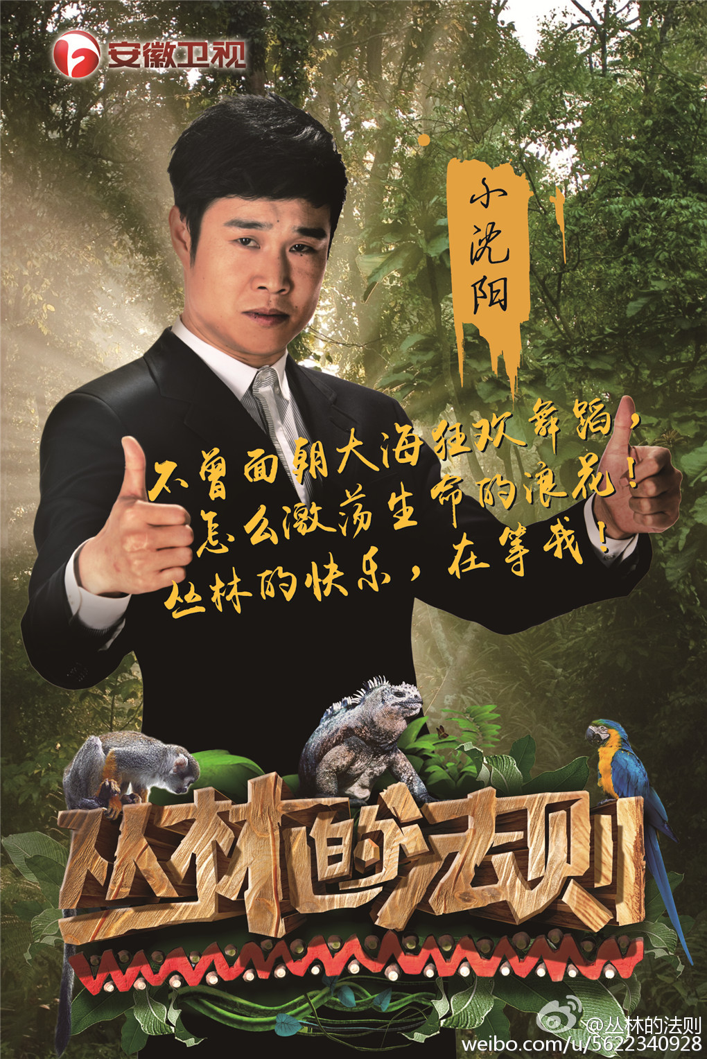 丛林的法则