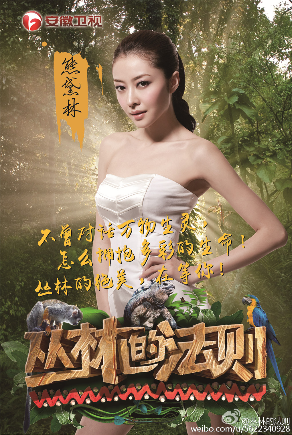 丛林的法则