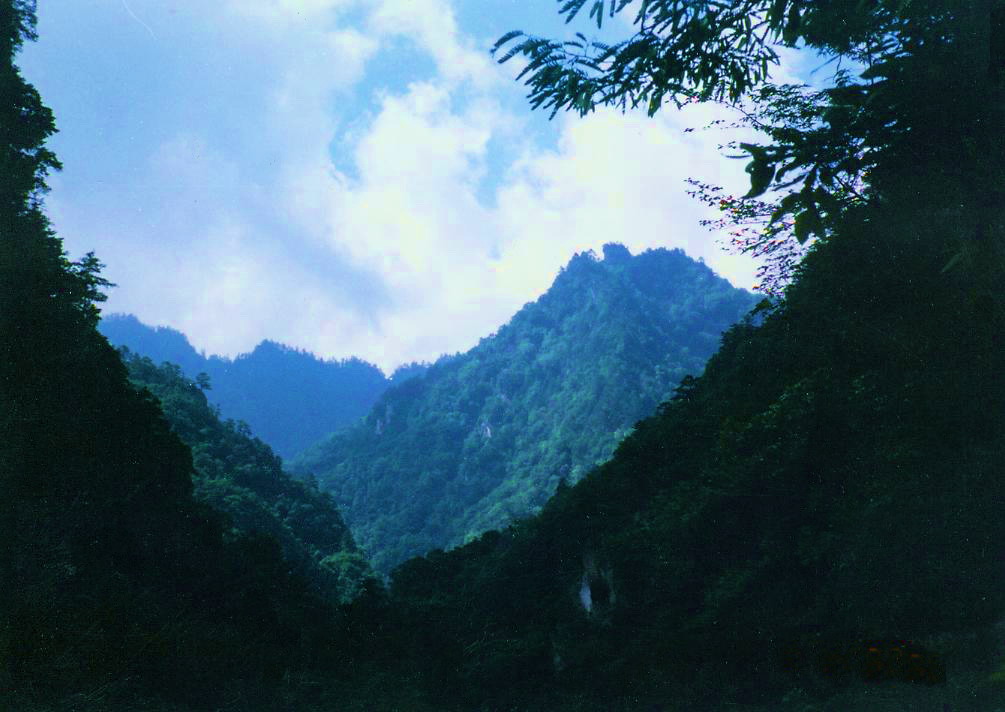 唐家河 唐家河