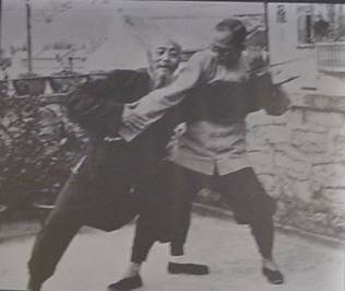 吴公藻拳架
