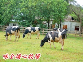 味全埔心牧场 味全埔心牧场