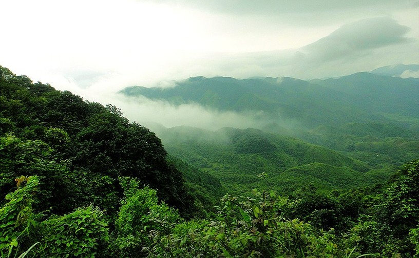 十万大山国家森林公园 十万大山国家森林公园
