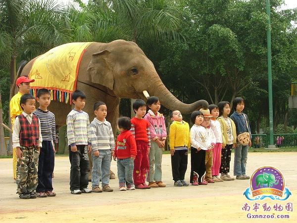 南宁动物园