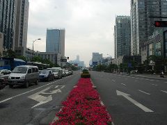 周边图 周边图