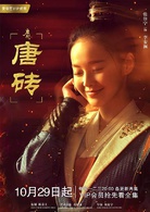 唐砖(2018年王天辰、张佳宁主演网路剧)