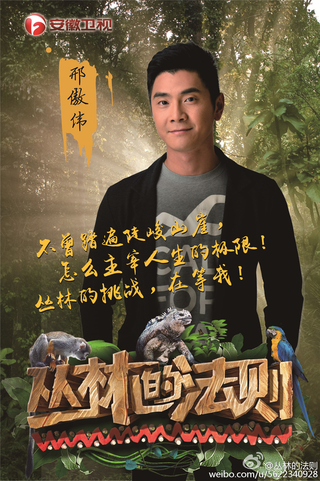 丛林的法则