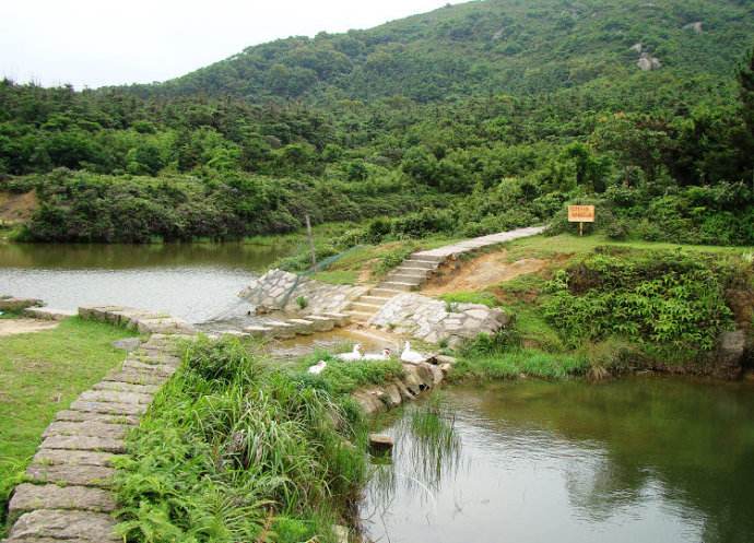 南阳山(和政南阳山)
