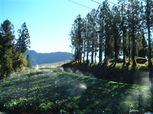 梨山风景区 梨山风景区