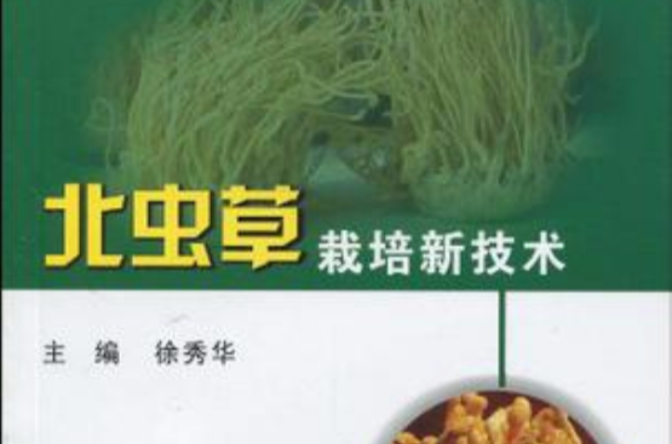北虫草栽培新技术