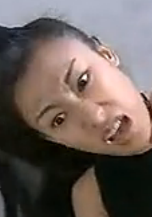终极目标(2003年马卫军编剧内地电视剧)