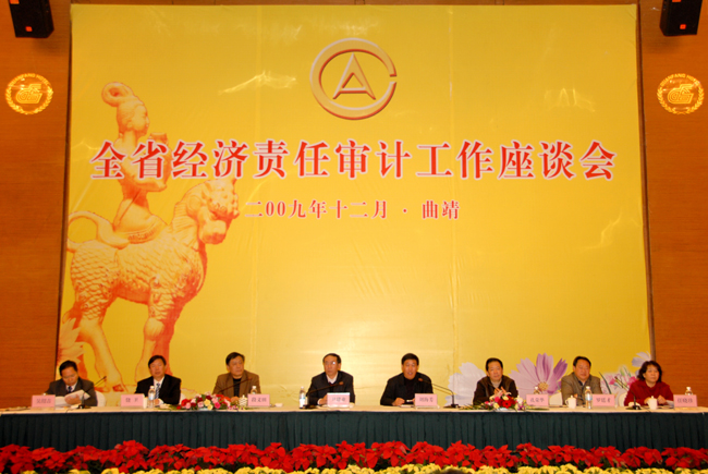 经济责任审计 经济责任审计