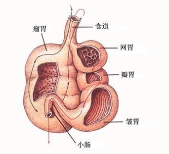 http://www.cas.cn/kxcb/kpwz/201210/t2012 http://www.cas.cn/kxcb/kpwz/201210/t2012