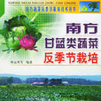 南方甘蓝类蔬菜反季节栽培