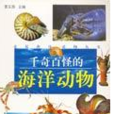 千奇百怪的海洋动物
