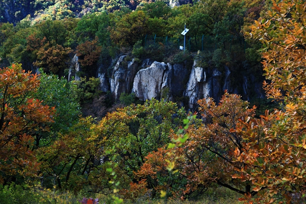 莲花顶