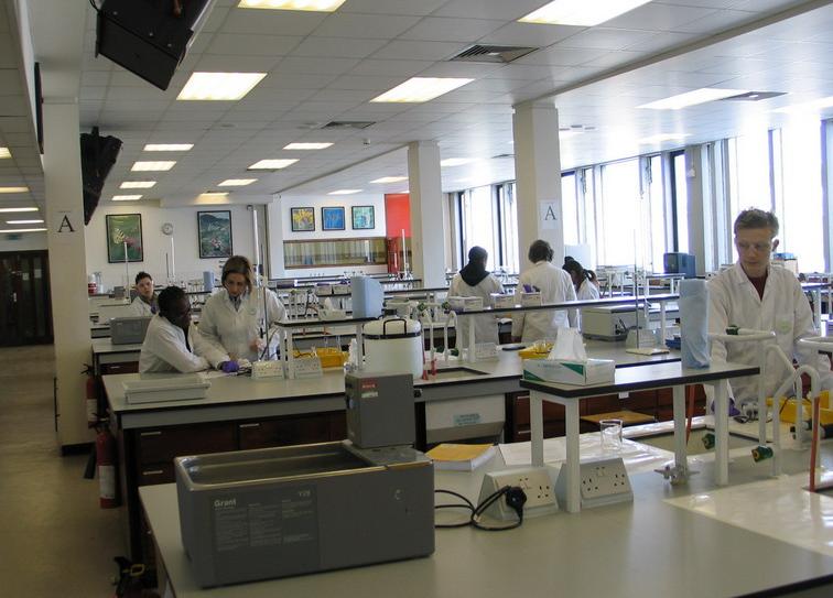 南京大学金陵学院 南京大学金陵学院