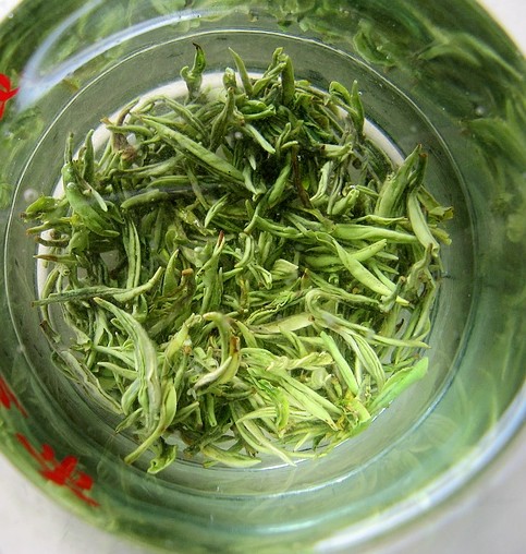 绿茶(茶叶品种) 绿茶(茶叶品种)