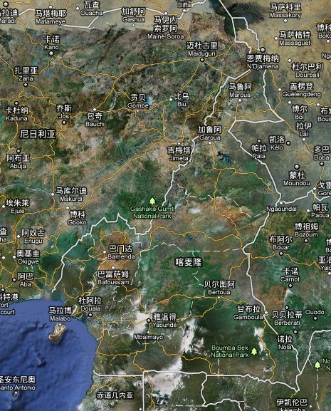 喀麦隆卫星地图