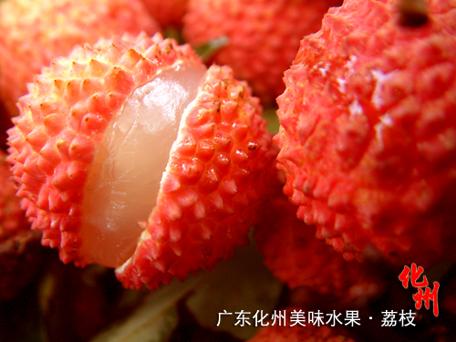 化州(化州市) 化州(化州市)