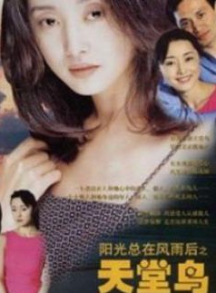 吴秀波