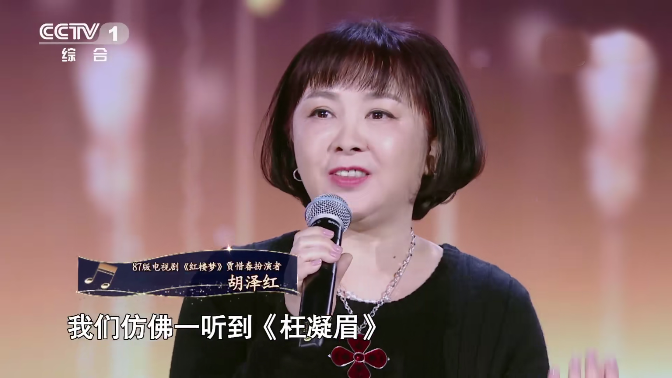 胡泽红，经典咏流传第二期嘉宾