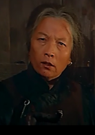 原野(1981年凌子执导电影)