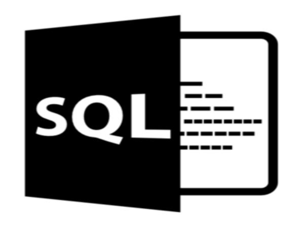 统一资料库语言