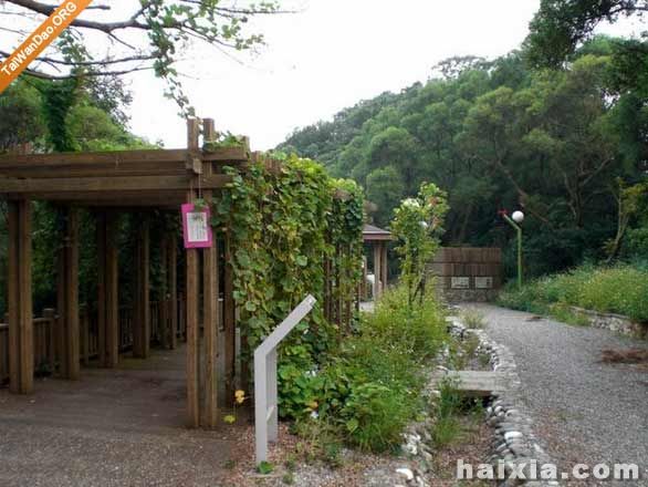 嘉义鲤鱼山 嘉义鲤鱼山