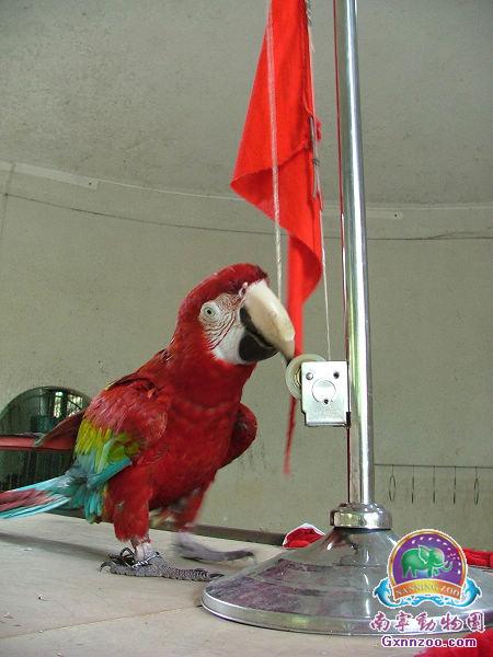 南宁动物园
