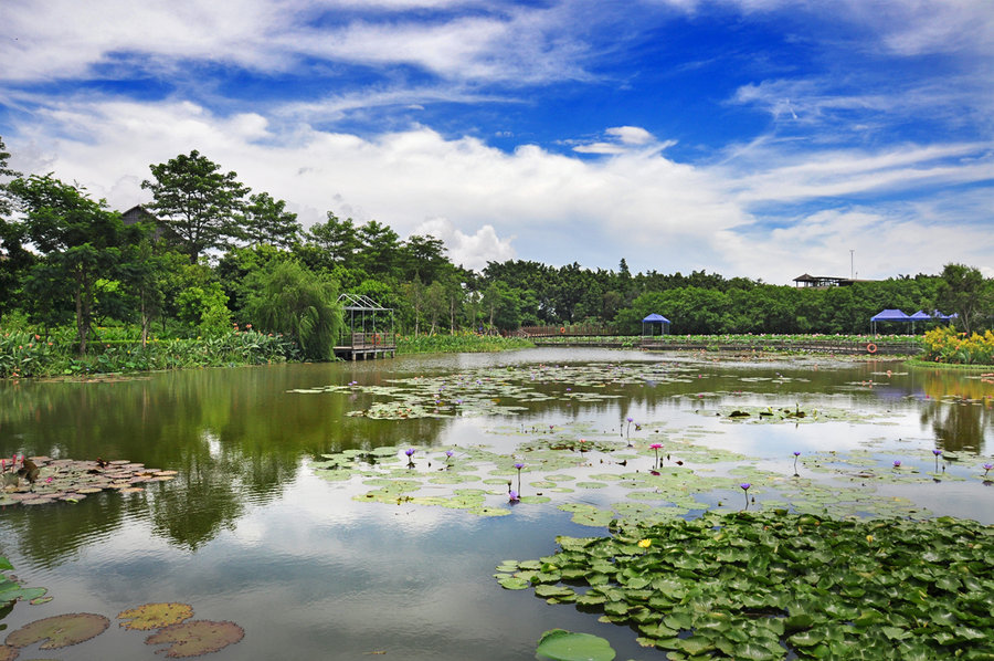 南沙湿地