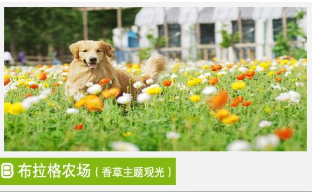 北京农商银行网上商城 北京农商银行网上商城