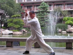 吴式太极拳 吴式太极拳