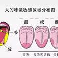 味觉