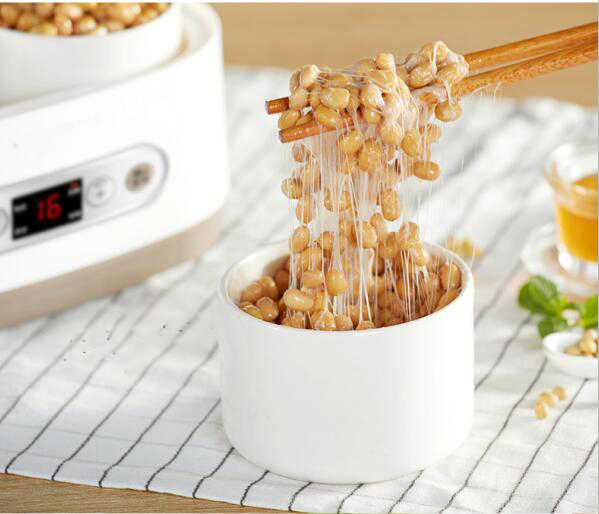 纳豆机 纳豆机