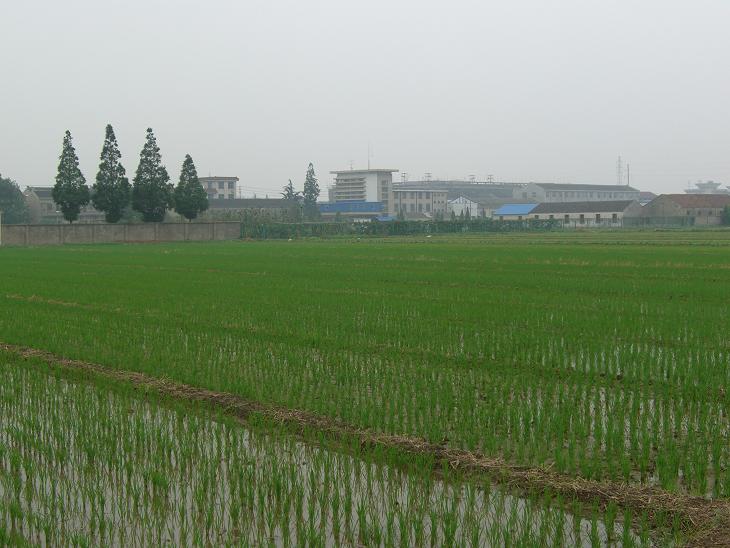 靖城镇 靖城镇