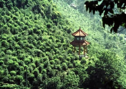 唐家大山赋