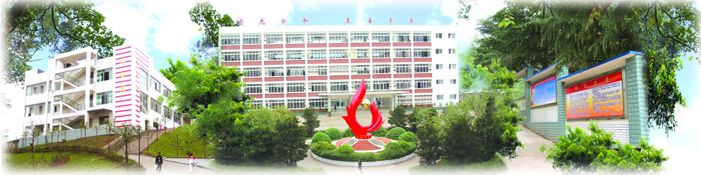 蔺阳中学 蔺阳中学