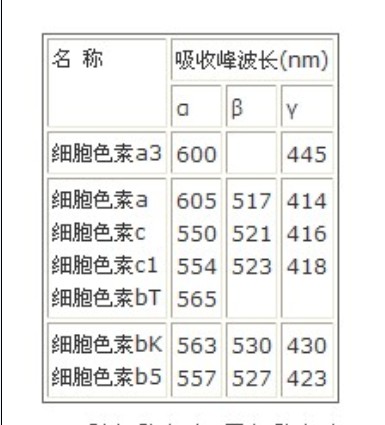 动物体内各种细胞色素的光谱 动物体内各种细胞色素的光谱