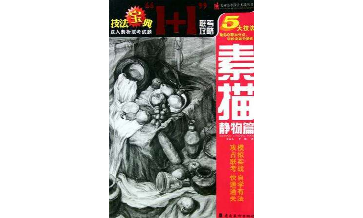 素描静物篇/美术高考技法实战丛书
