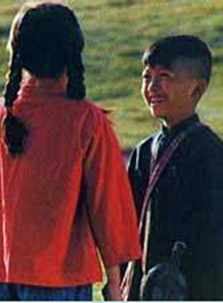 吴若甫