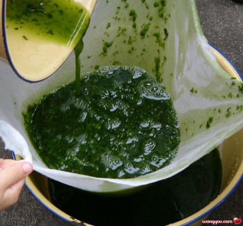 绿豆腐 绿豆腐